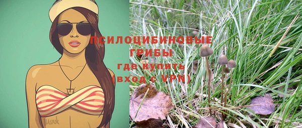 гашиш Арсеньев