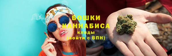 ПСИЛОЦИБИНОВЫЕ ГРИБЫ Баксан