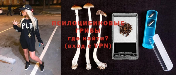 прущие грибы Армянск